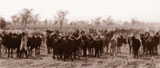 Tribal meeting